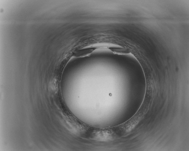 X0000062170751200512121240