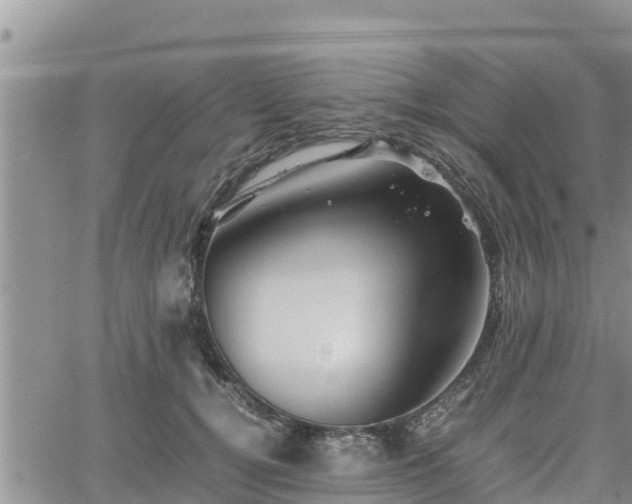 X0000062170752200512121240