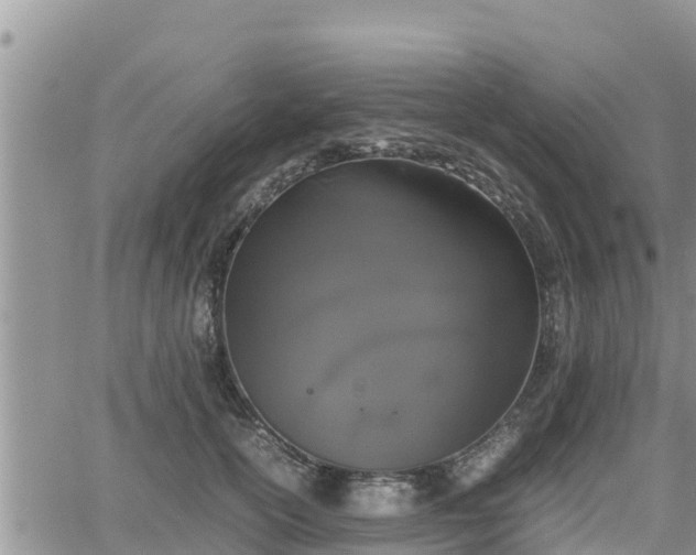 X0000062170754200512121240