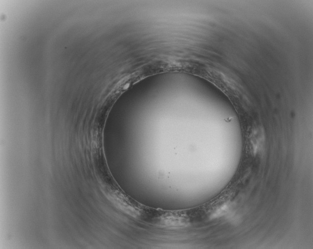 X0000062170756200512121240