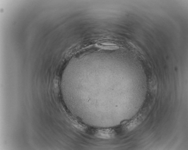 X0000062170757200512121240