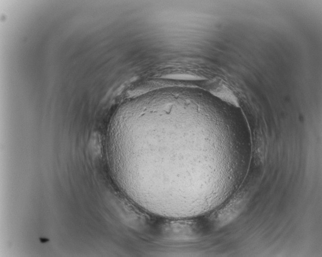 X0000062170758200512121240