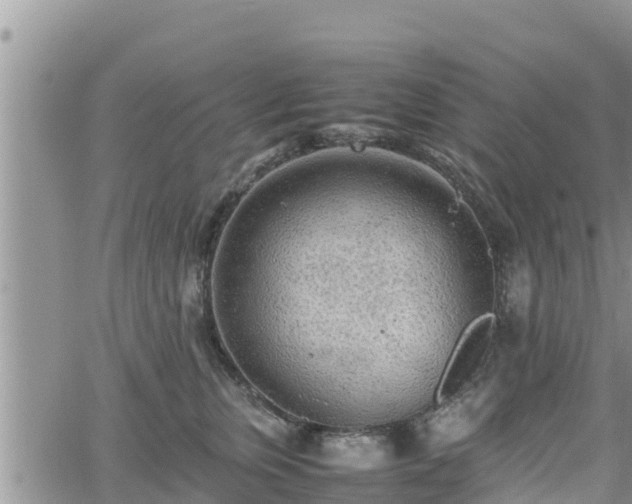 X0000062170759200512121240