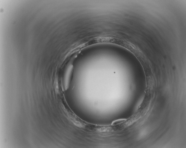 X0000062170761200512121240