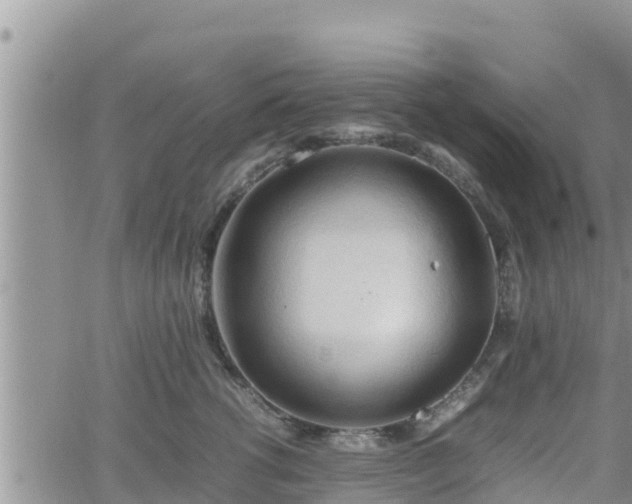 X0000062170762200512121240