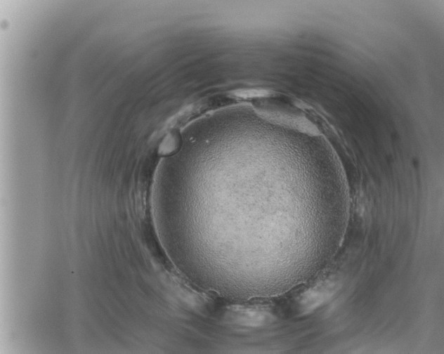 X0000062170763200512121240