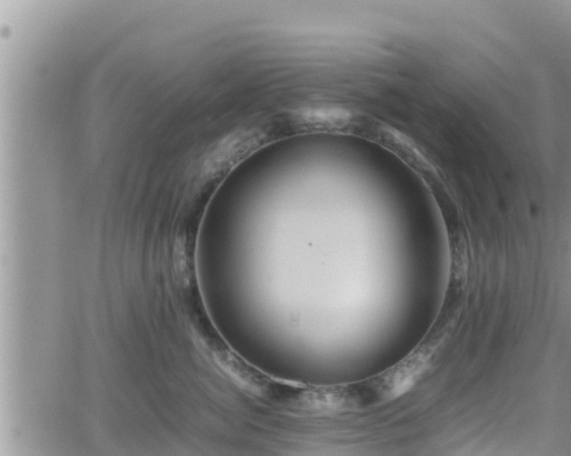 X0000062170764200512121240