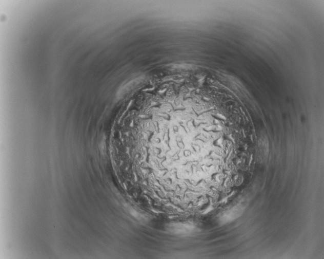 X0000062170765200512121240