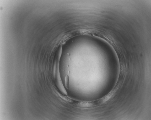 X0000062170766200512121240