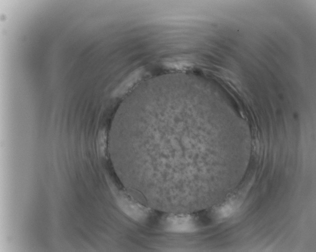 X0000062170767200512121240