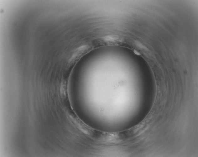 X0000062170768200512121240