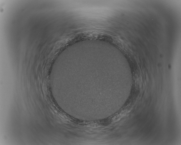 X0000062170769200512121239