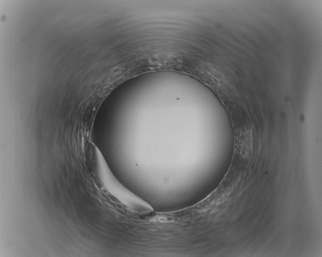 X0000062170770200512121239