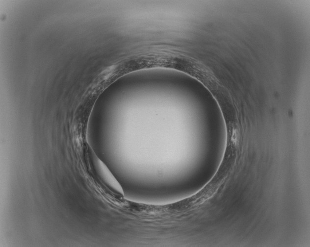 X0000062170771200512121239