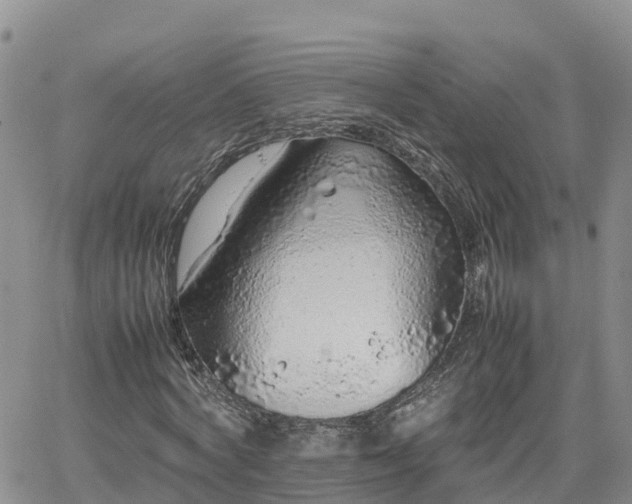 X0000062170772200512121239