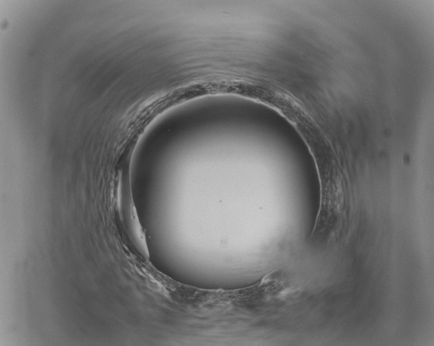 X0000062170773200512121239