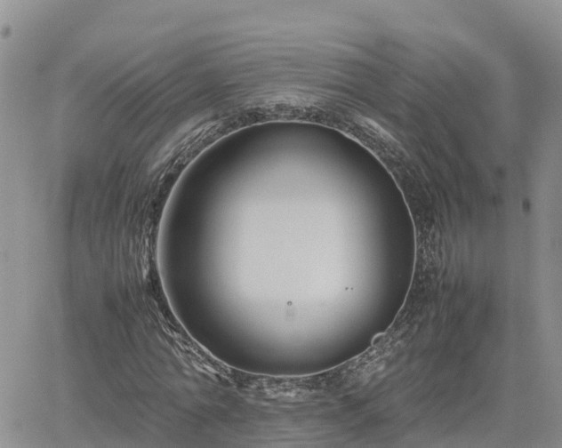 X0000062170774200512121239