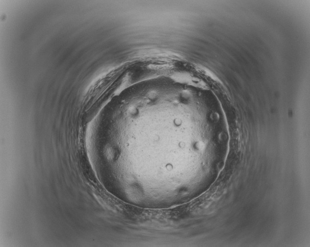 X0000062170775200512121239