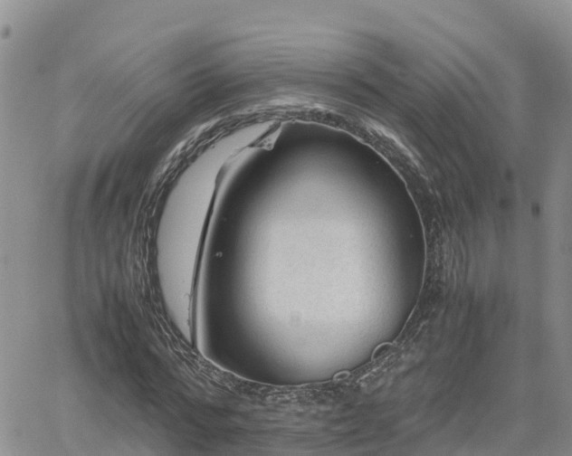 X0000062170776200512121239