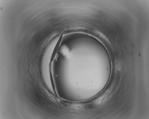 X0000062170777200512121239