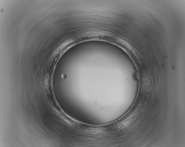 X0000062170778200512121239