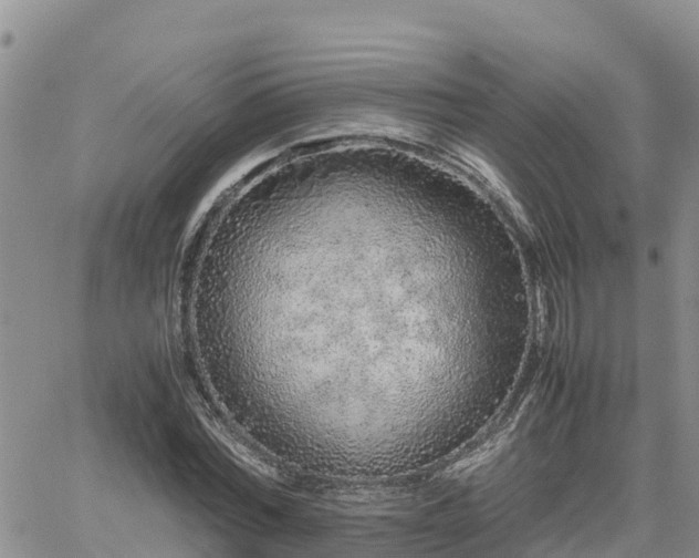 X0000062170780200512121239