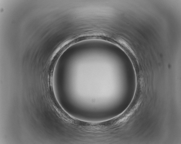 X0000062170781200512121239