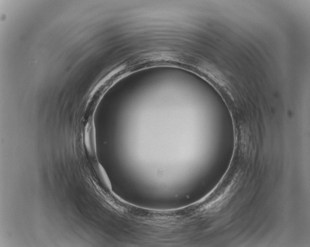 X0000062170782200512121239