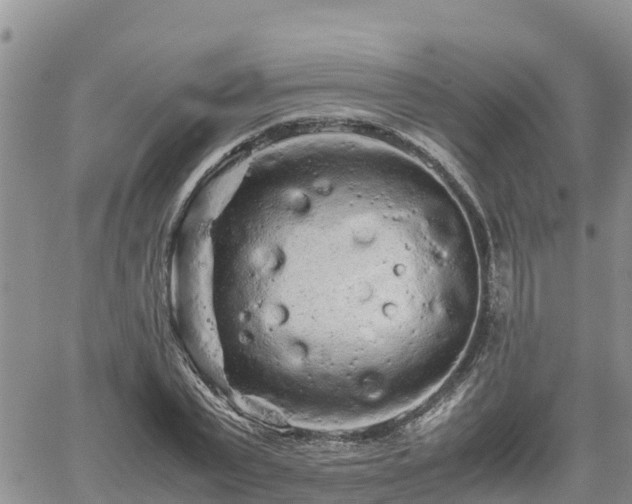 X0000062170783200512121239