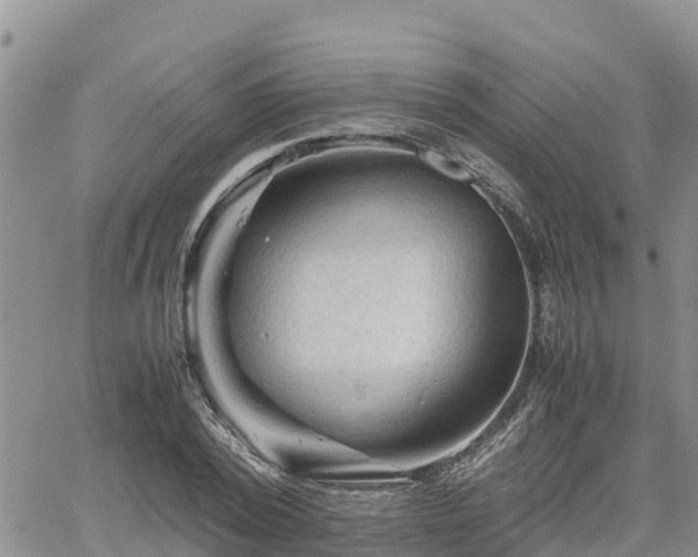 X0000062170784200512121239