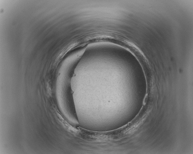 X0000062170785200512121239