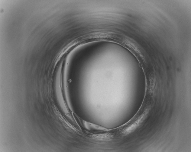 X0000062170786200512121239