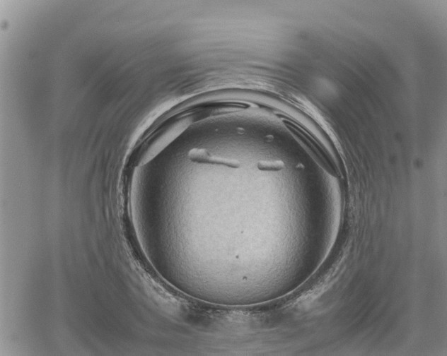 X0000062170787200512121239