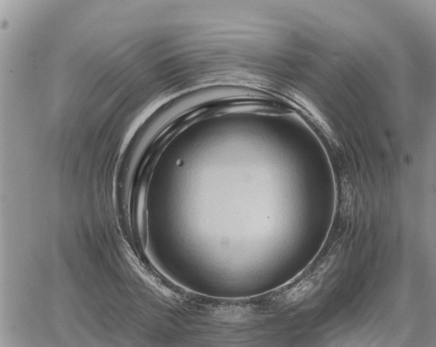 X0000062170788200512121239