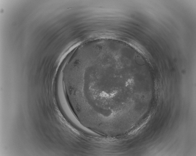 X0000062170790200512121239