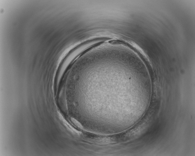 X0000062170791200512121239