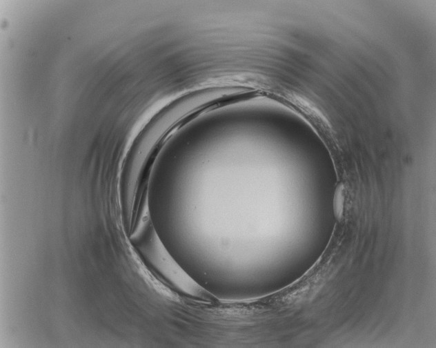 X0000062170792200512121239