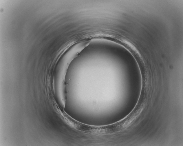 X0000062170793200512121239