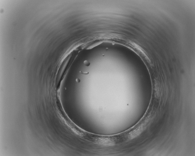 X0000062170794200512121239