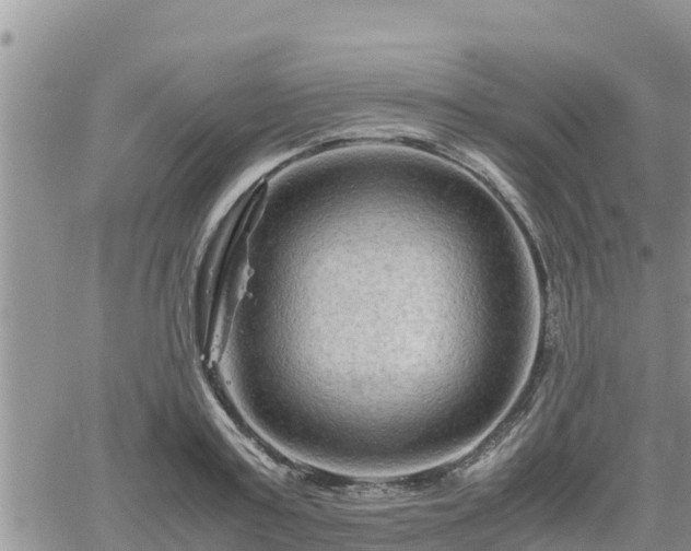 X0000062170795200512121239