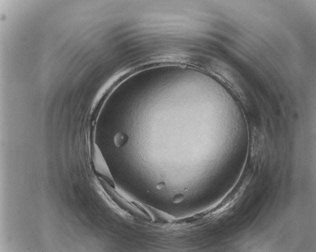 X0000062170796200512121239