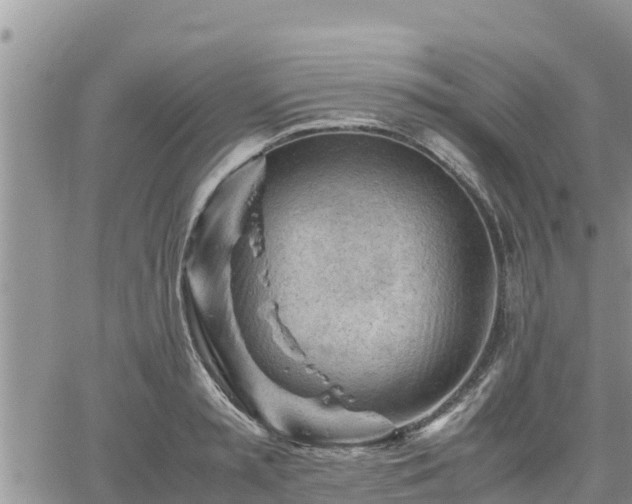 X0000062170797200512121239