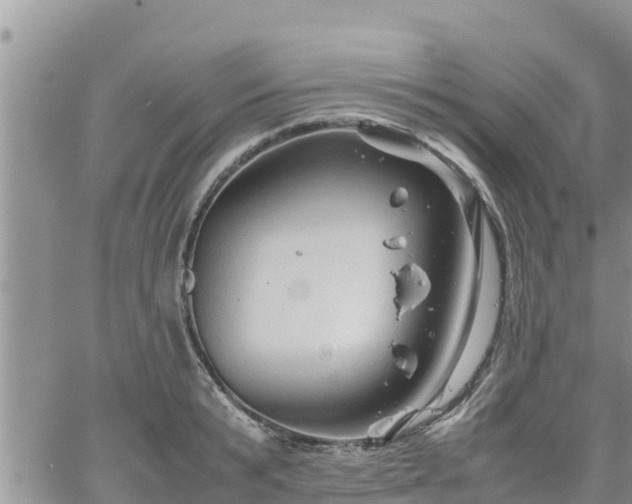 X0000062170799200512121239