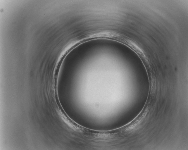 X0000062170800200512121239