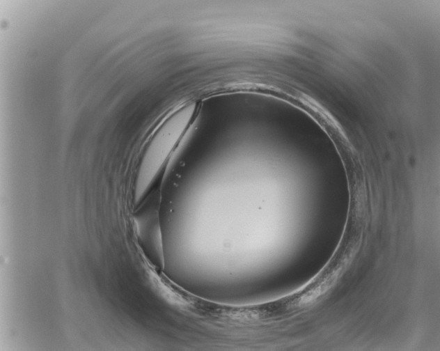 X0000062170801200512121239