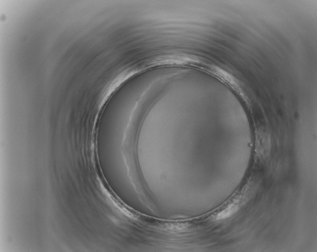 X0000062170802200512121239