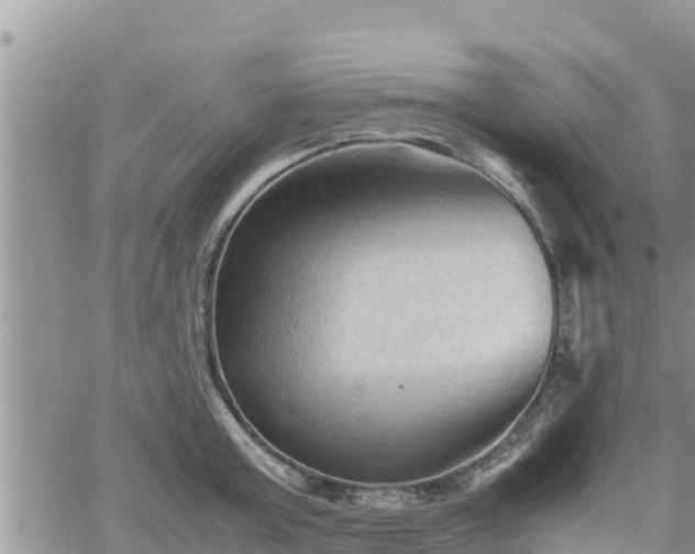 X0000062170803200512121239