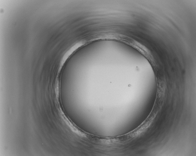 X0000062170804200512121239