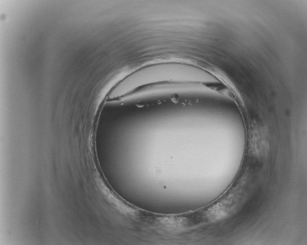 X0000062170805200512121239