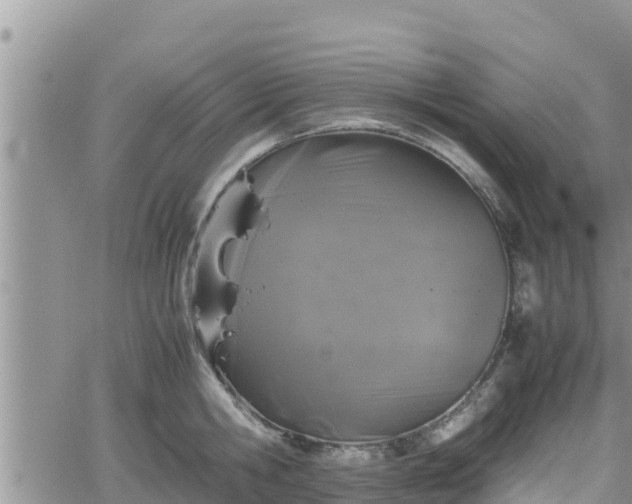 X0000062170806200512121239